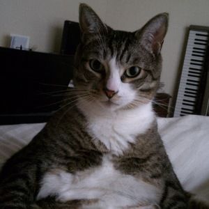 Meet your Posher, Shannon